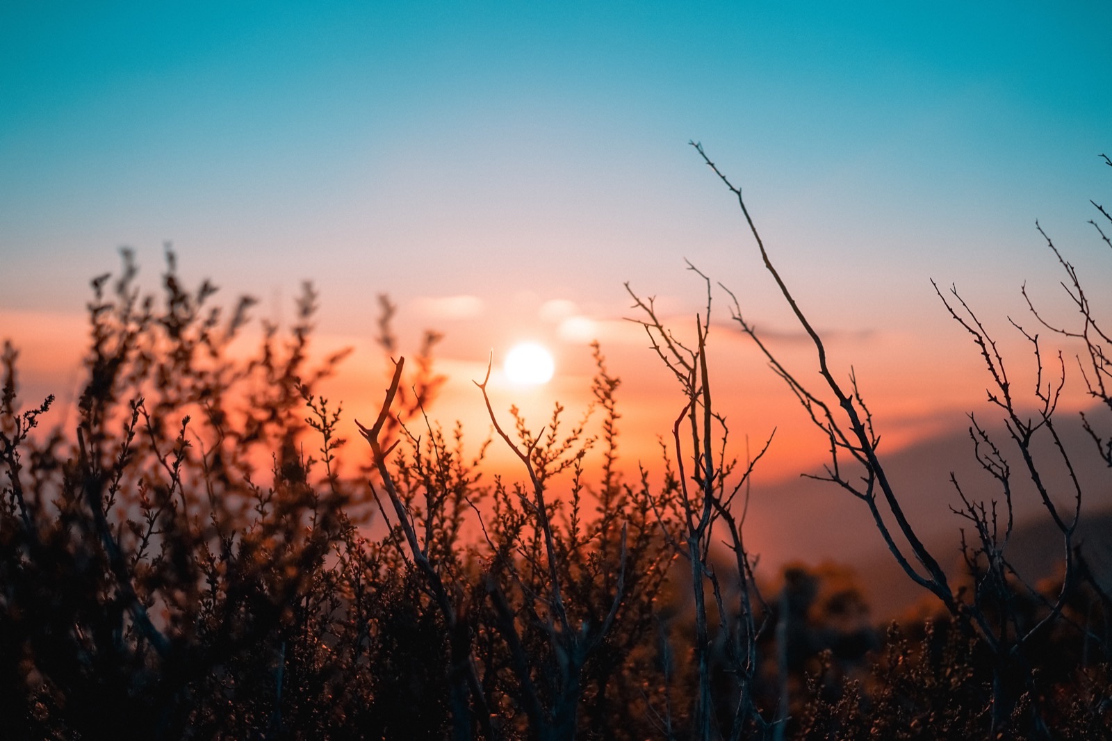 The Tenderness of Truth Telling written by an Enneagram Four